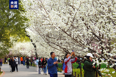 清明假期北京市屬公園及中國園林博物館游客接待量超218萬人次，景區管理成效顯著