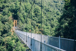 安徽驚險刺激景區(qū)全攻略 5D玻璃橋、高空滑索，挑戰(zhàn)你的勇氣極限！